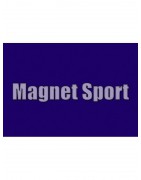 Motowell Magnet 50 Sport AC 2T (fekvőhengeres Minarelli)