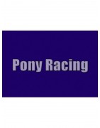 Garelli Pony 50 Racing AC 2T (állóhengeres Minarelli) (1992-1996)