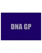 Gilera DNA 50 GP LC 2T (Piaggio – HP3 Blokkos) (2003-2004)