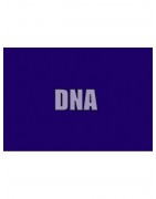 Gilera DNA 50 LC 2T alkatrészek
